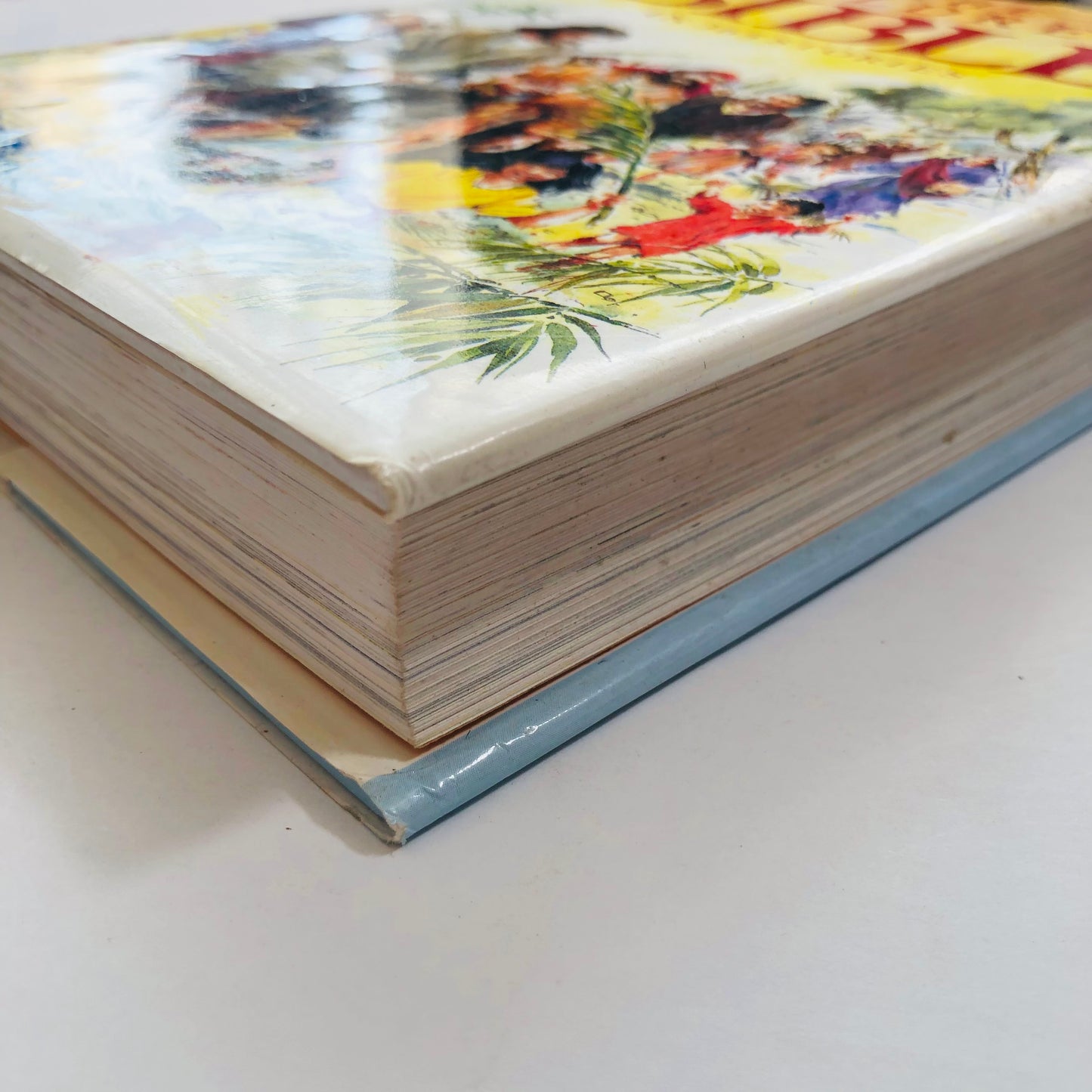 The Children's Bible in 365 Stories – A Year of Daily Bible Adventures!