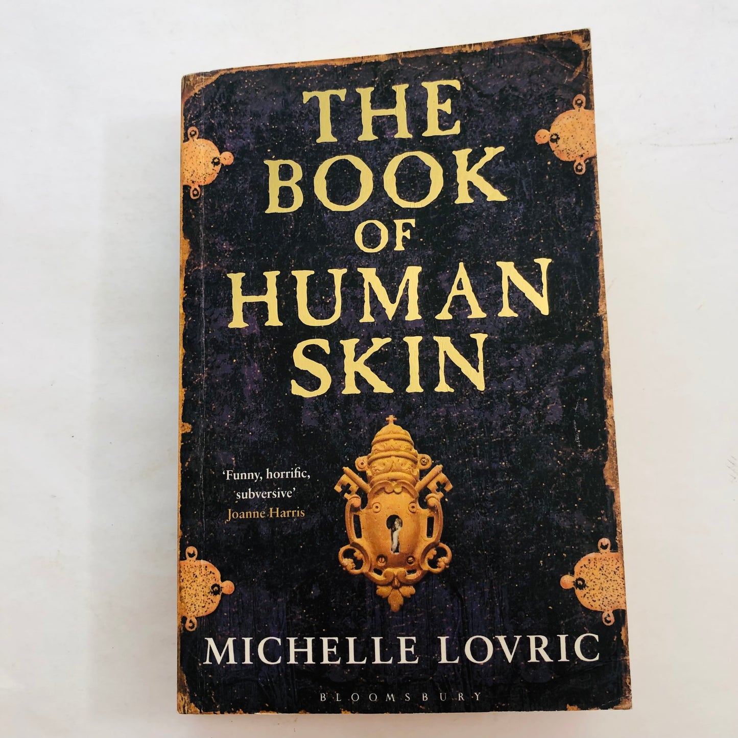 The Book of Human Skin by Michelle Lovric | Gothic Historical Fiction | Dark & Twisted Tale | 9781408809648
