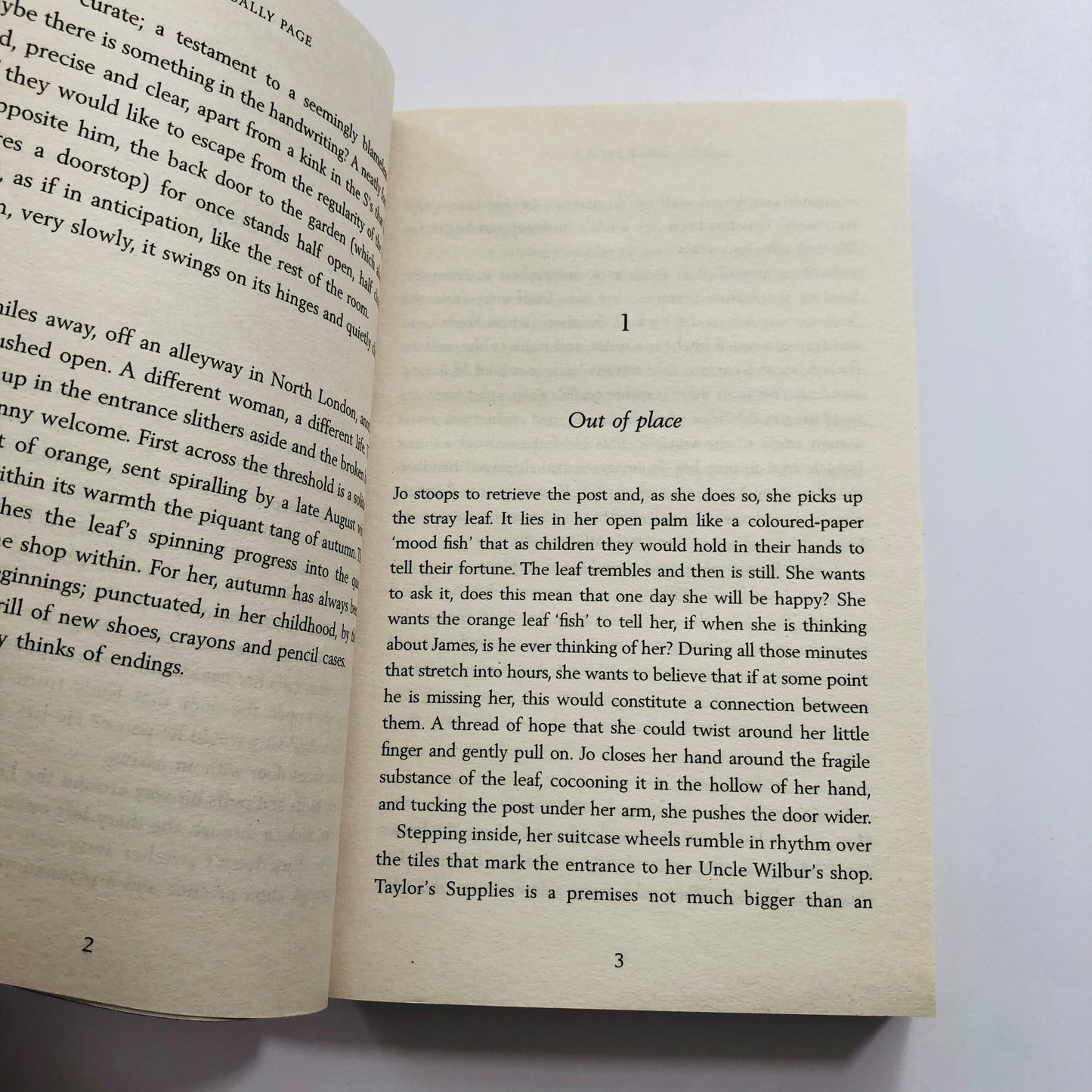 The Book of Beginnings by Sally Page