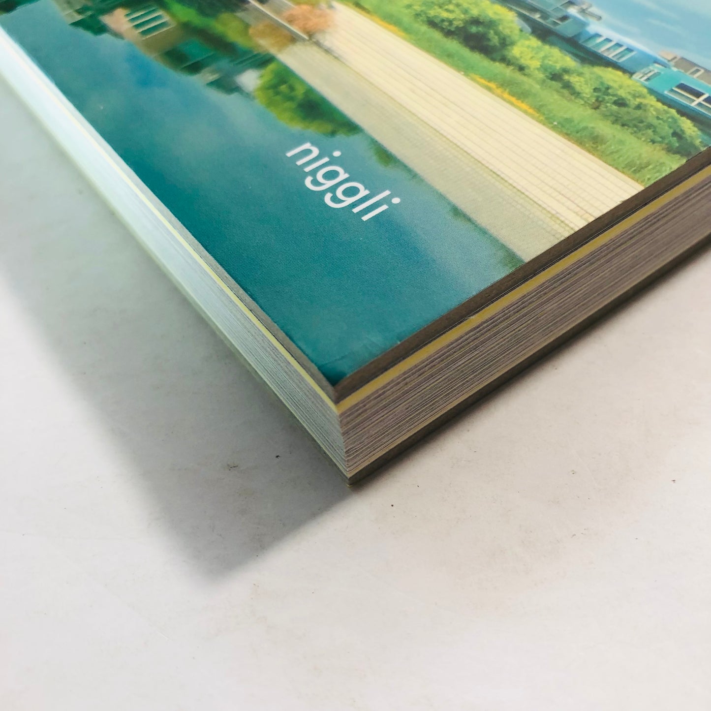 Archiflop: Spectacular Failures in Architecture – Alessandro Biamonti