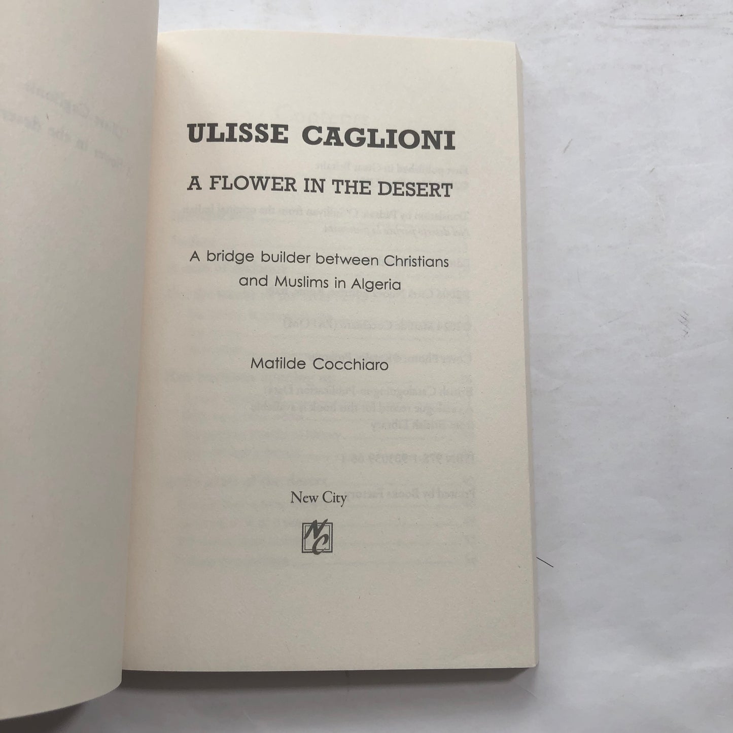 A Flower in the Desert - Ulisse Caglioni