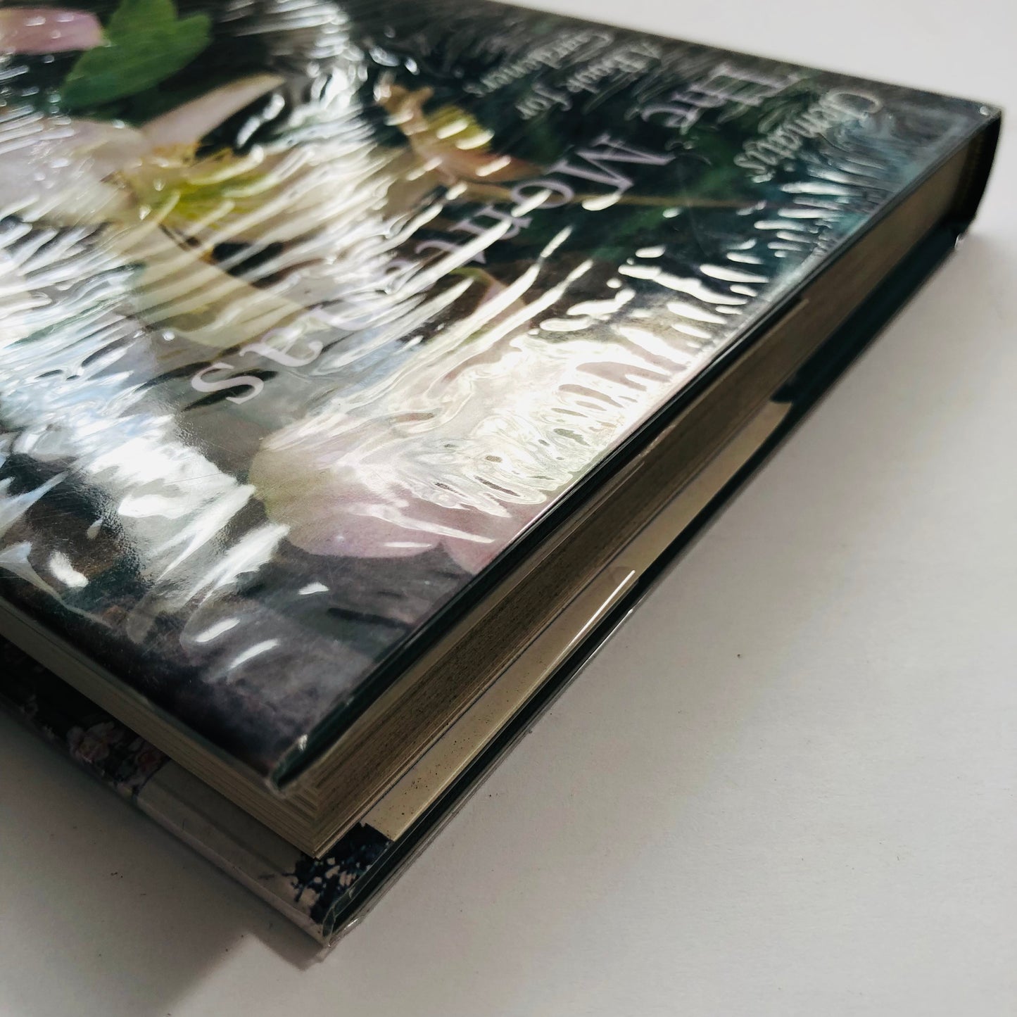 Clematis; The Montanas – John Howells