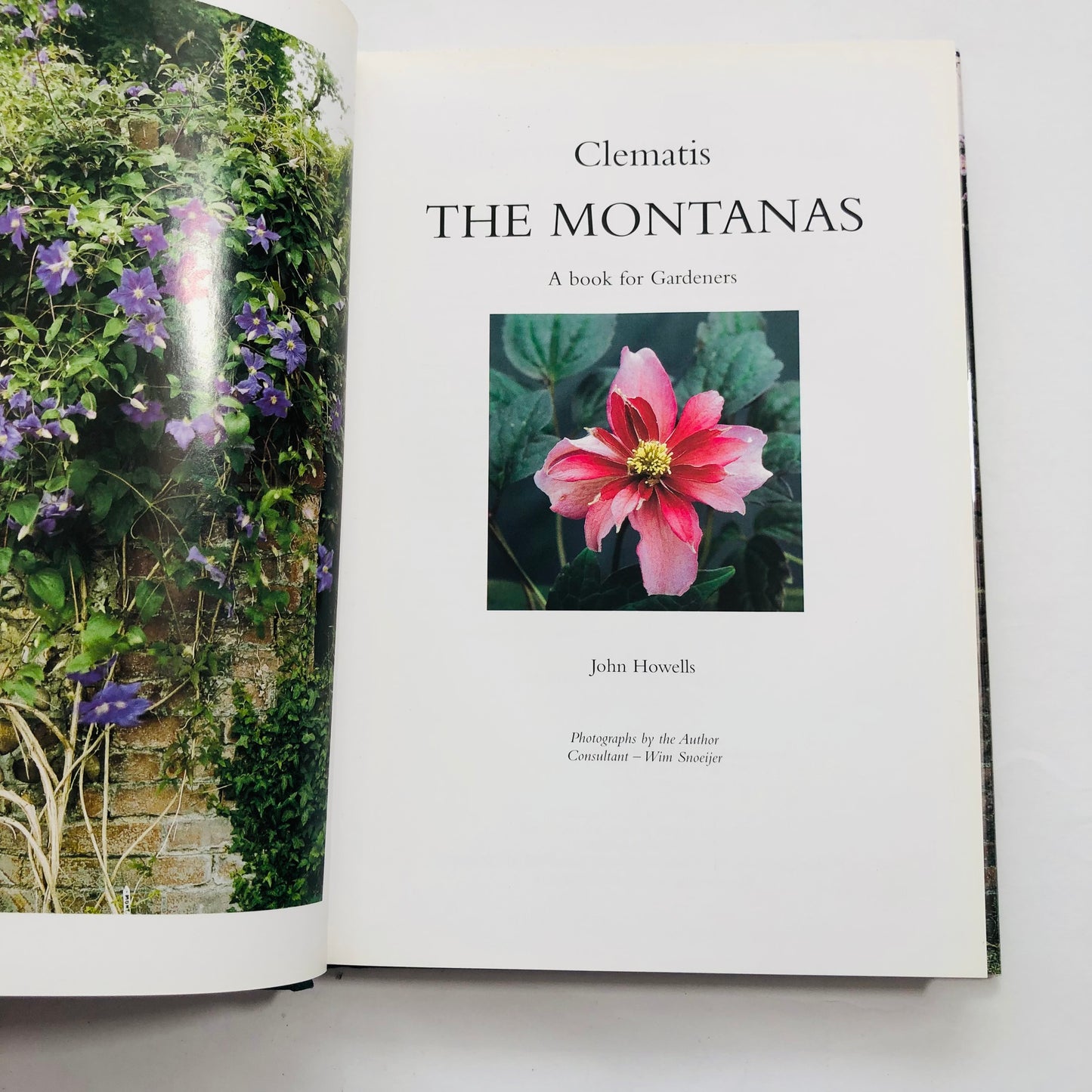 Clematis; The Montanas – John Howells