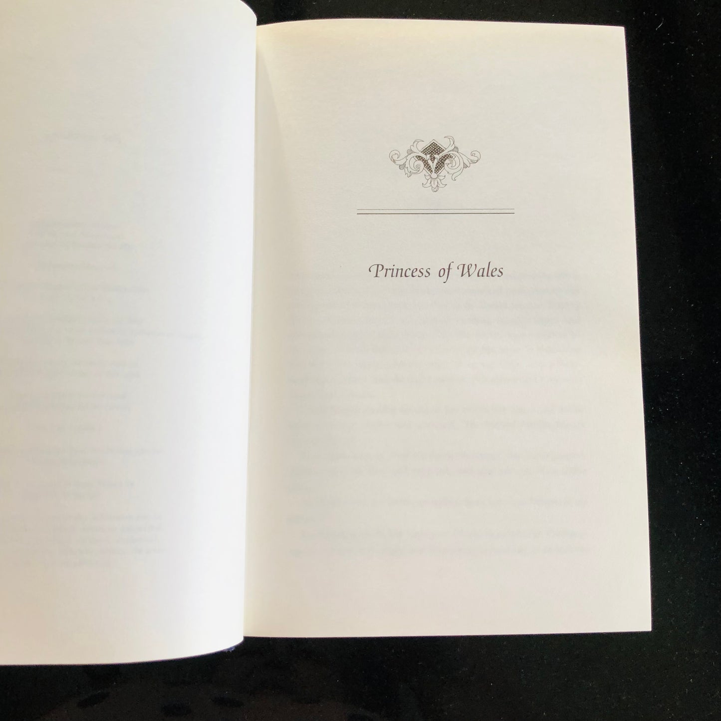 The Constant Princess – Philippa Gregory
