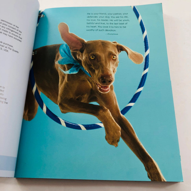 101 Dog Tricks – Kyra Sundance & Chalcy