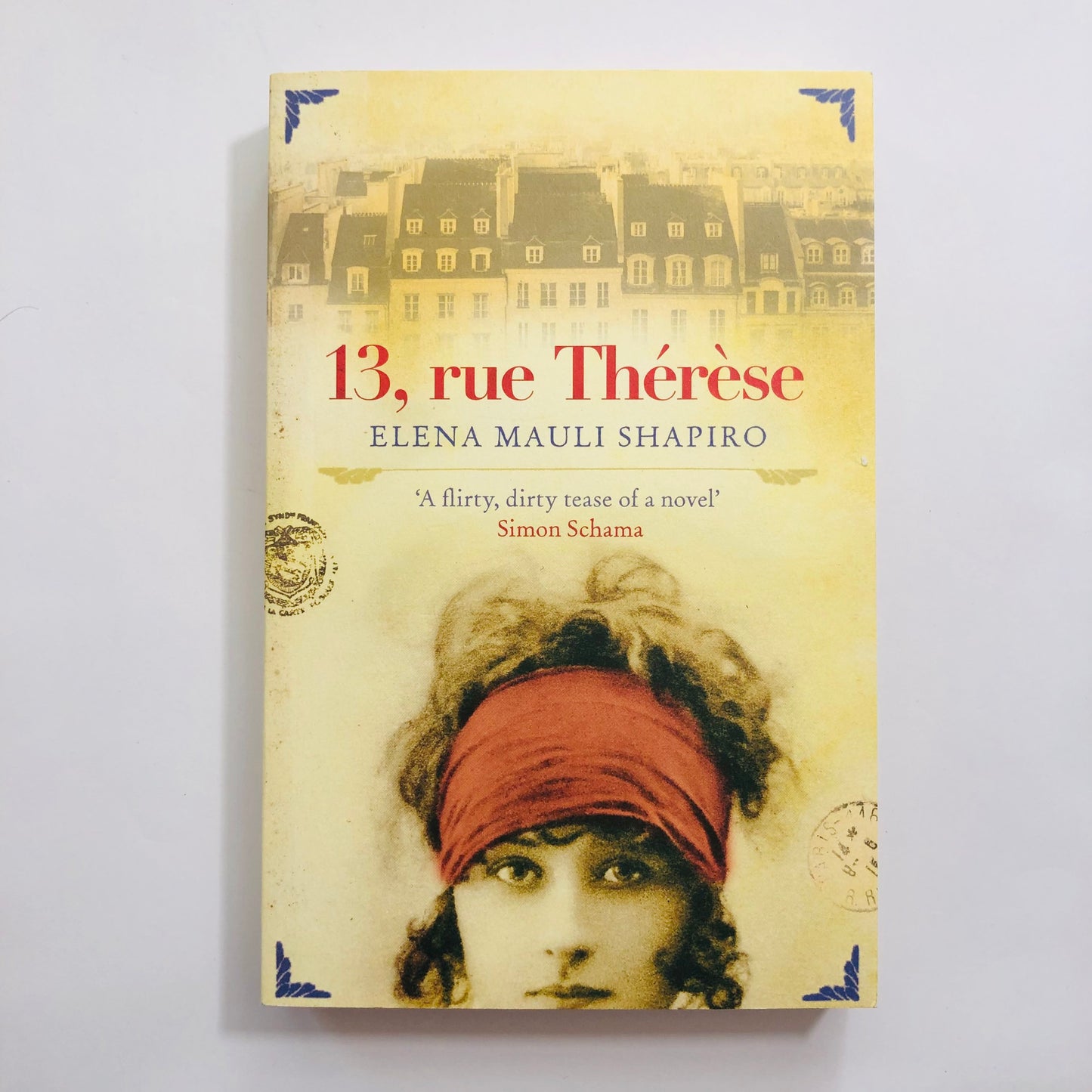 Paperback novel 13, Rue Therese by Elena Mauli Shapiro, featuring an elegant, muted cover with a vintage keyhole or Parisian street number design.