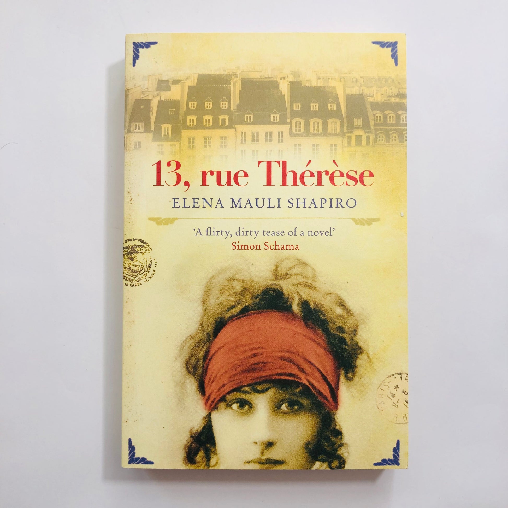 Paperback novel 13, Rue Therese by Elena Mauli Shapiro, featuring an elegant, muted cover with a vintage keyhole or Parisian street number design.