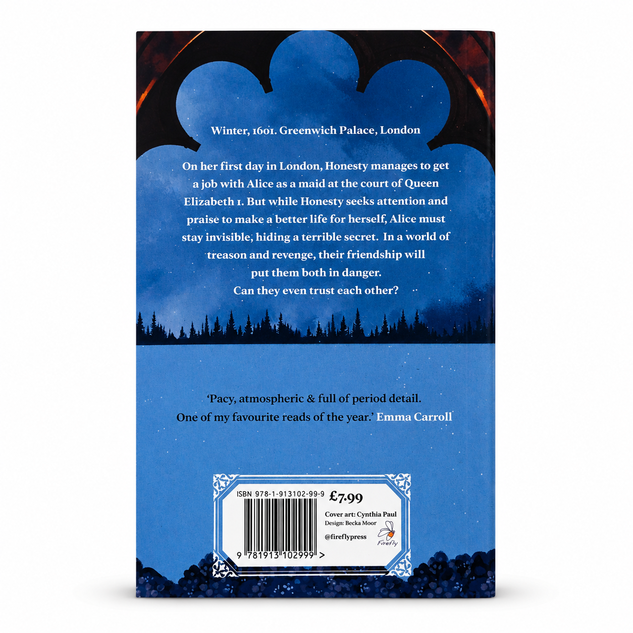 Back cover of Honesty & Lies by Eloise Williams paperback showing the book synopsis and ISBN 9781913102999. Very good used condition. Available from BookBuddies.