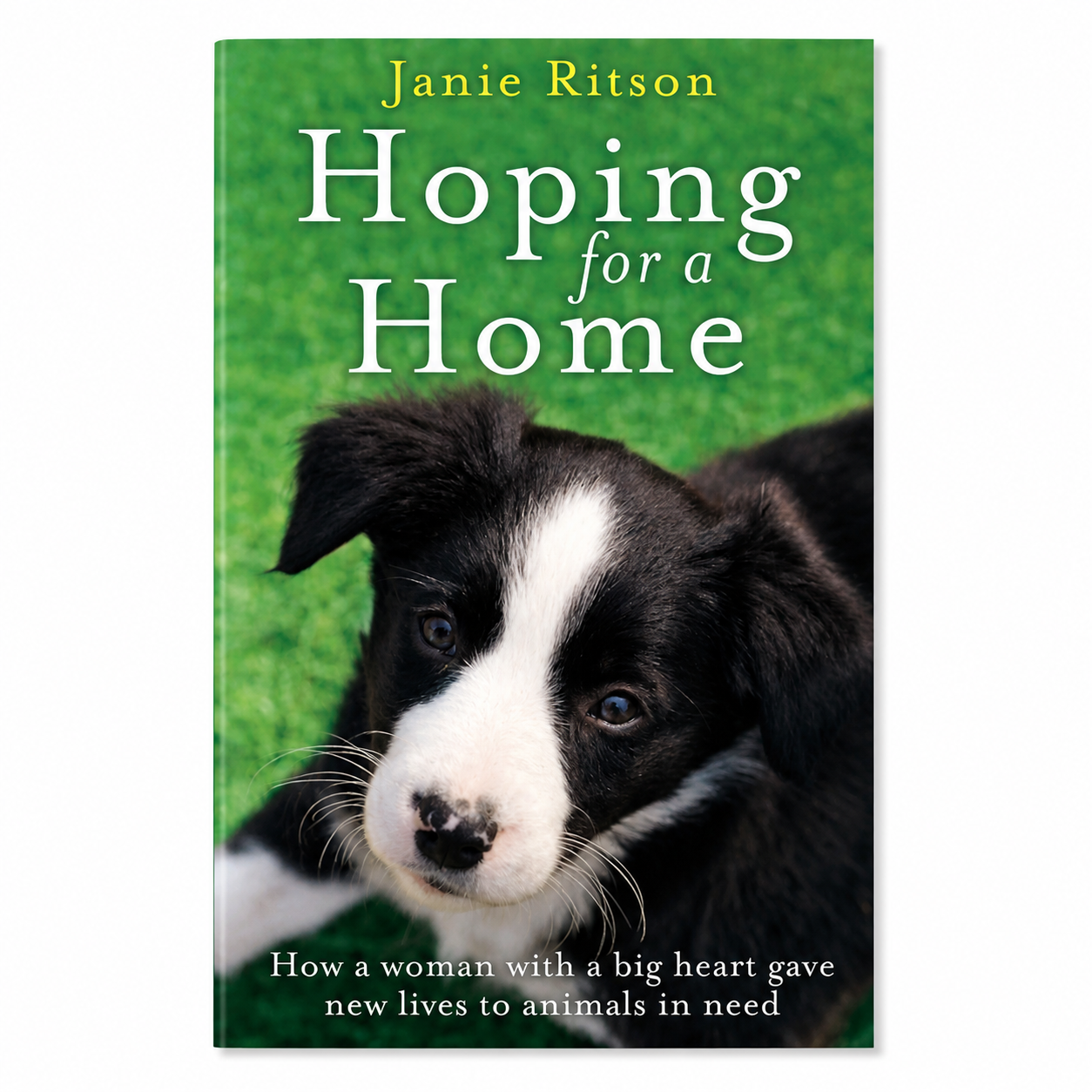 Hoping for a Home by Janie Ritson | Animal Rescue Stories