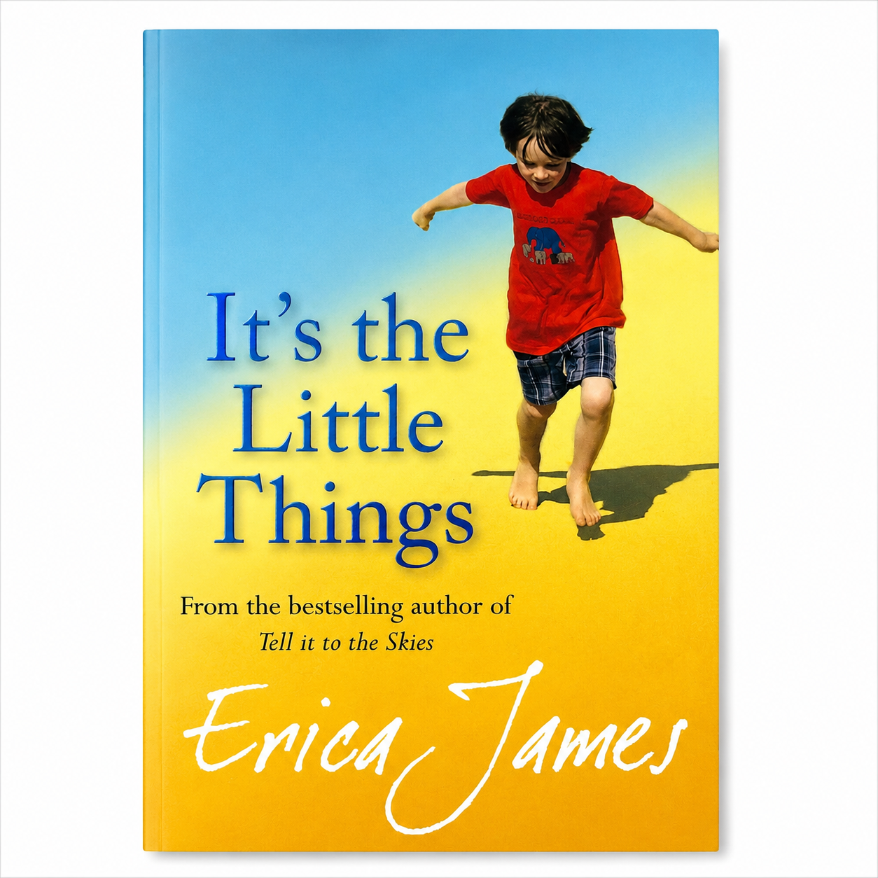 Front cover of It's the Little Things by Erica James, new paperback book photographed on a clean white background for the BookBuddies online bookshop.