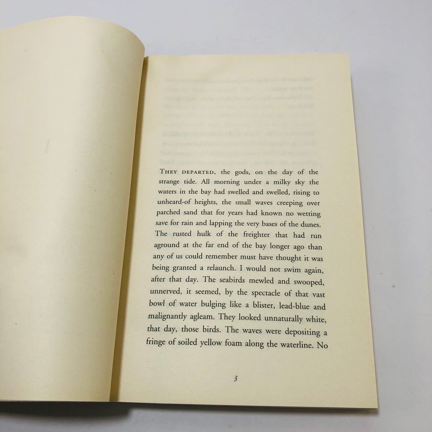 The Sea | John Banville | New Paperback