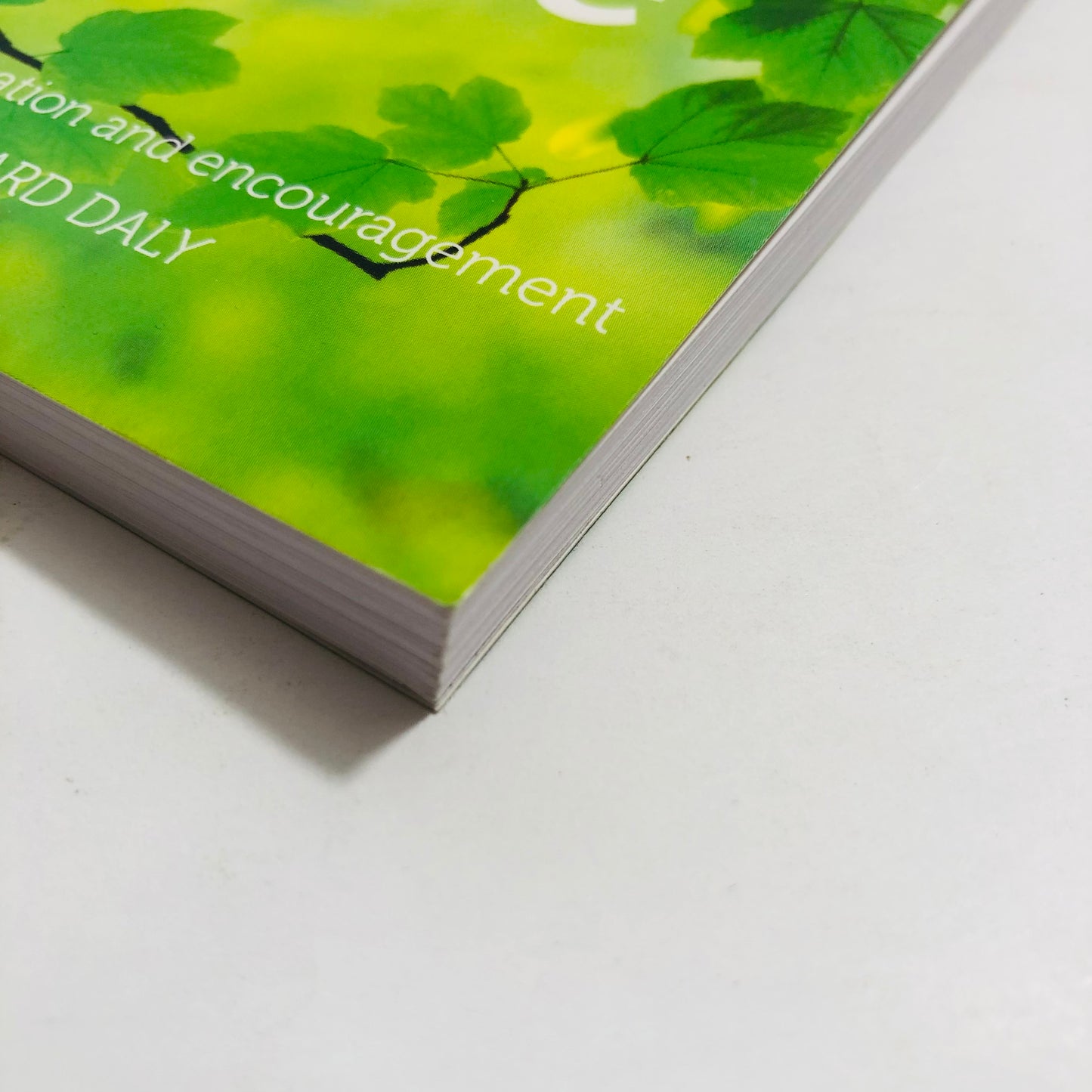 God's Little Book of Hope - Richard Daly