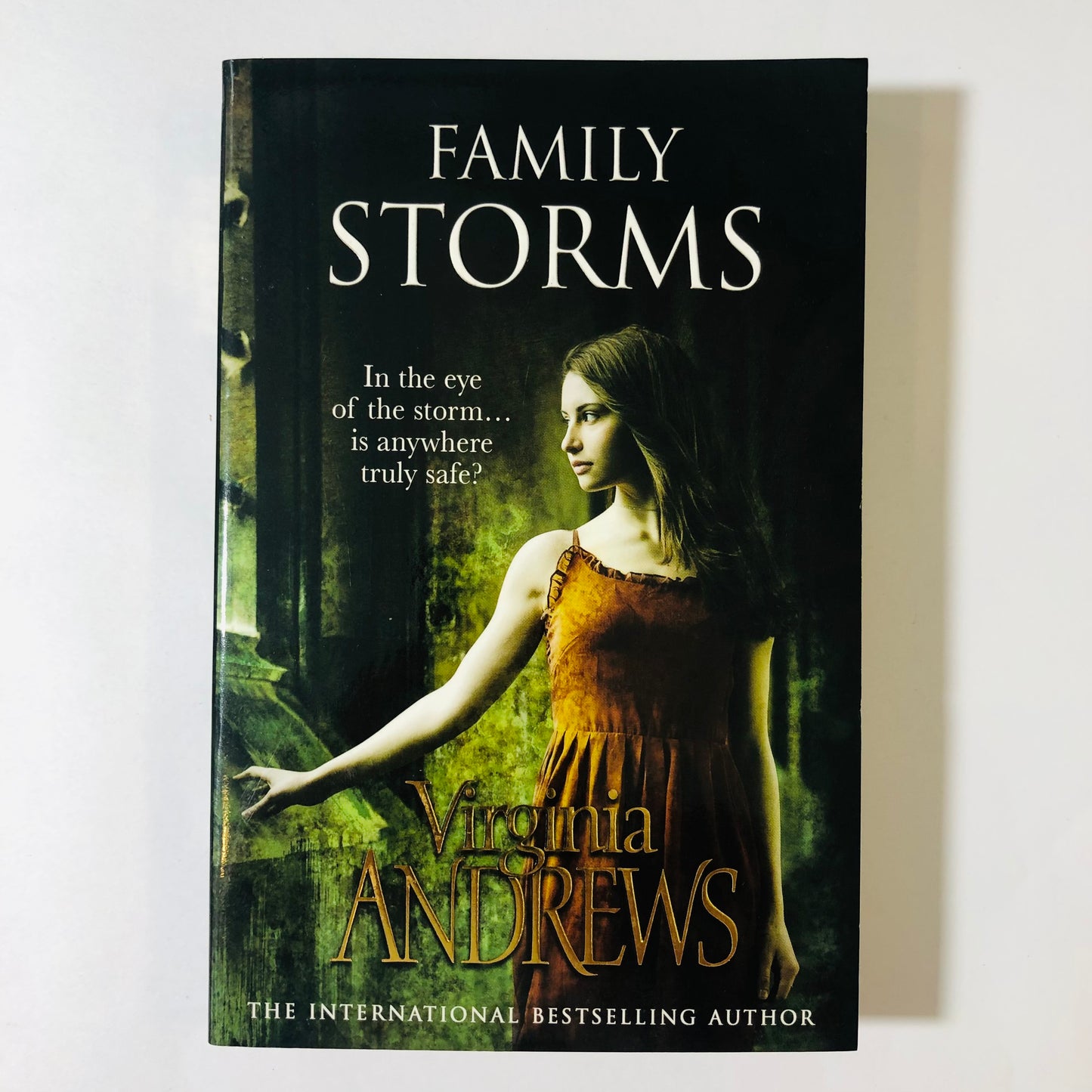 Family Storms Virginia Andrews | New Paperback