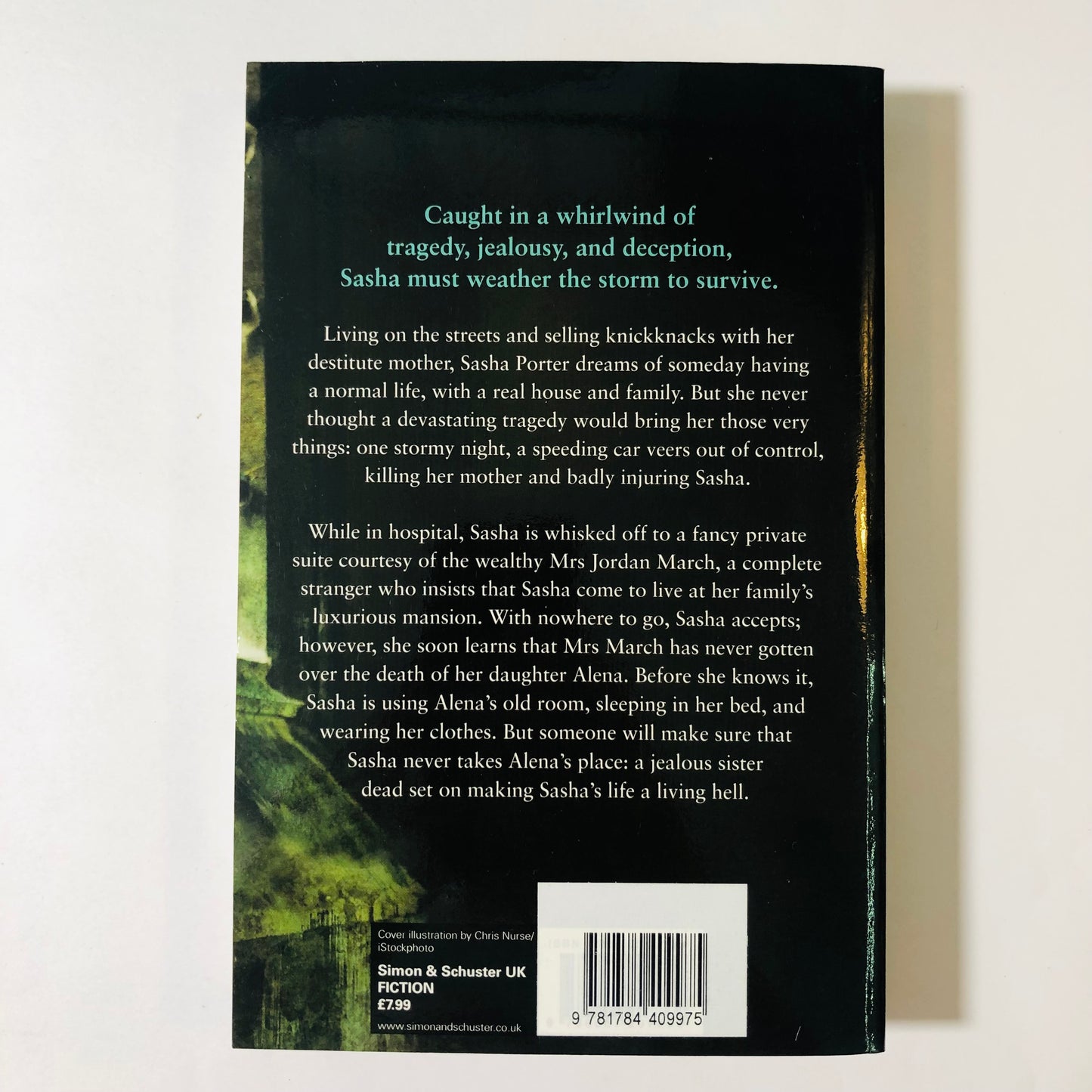 Family Storms Virginia Andrews | New Paperback