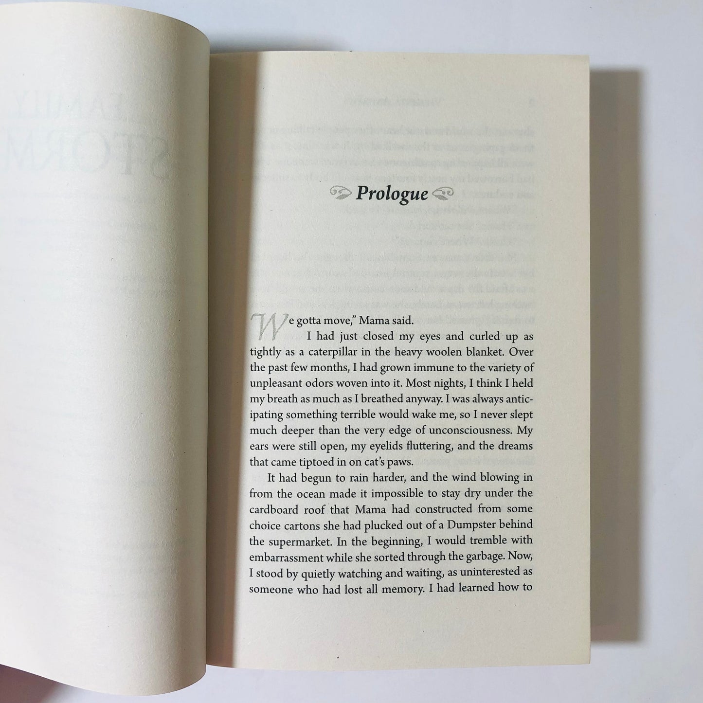 Family Storms Virginia Andrews | New Paperback
