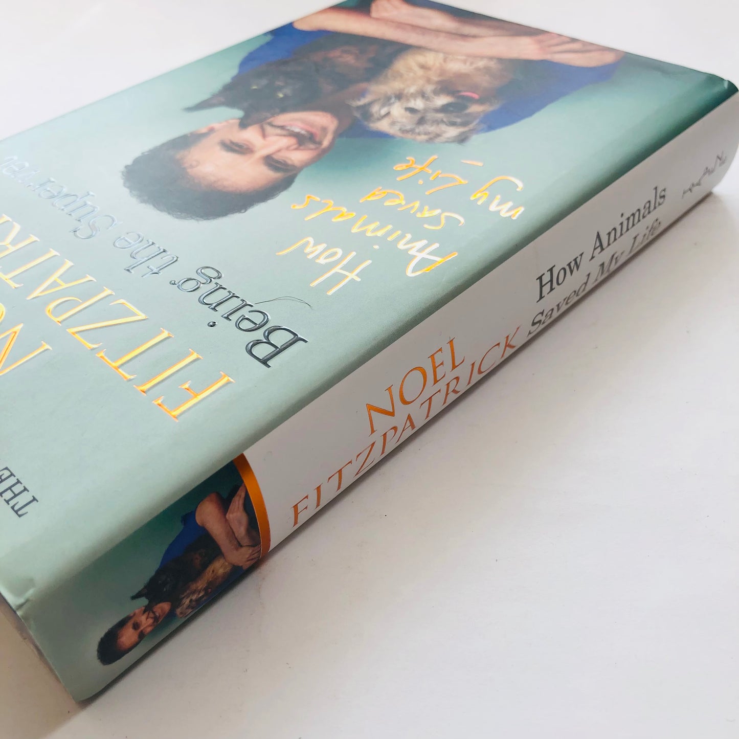 Being the Supervet – Noel Fitzpatrick