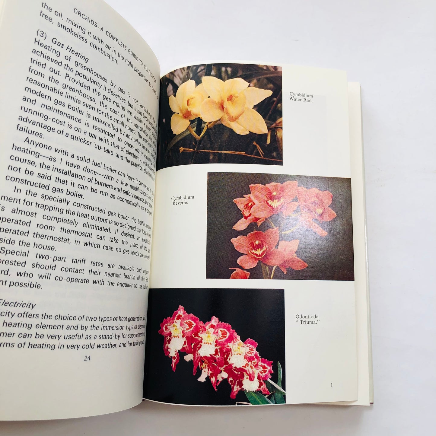 Orchids; A complete Guide to Cultivation