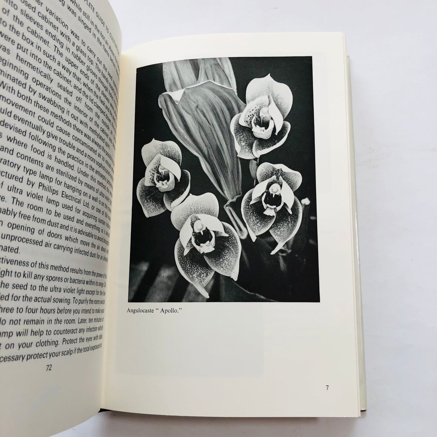 Orchids; A complete Guide to Cultivation