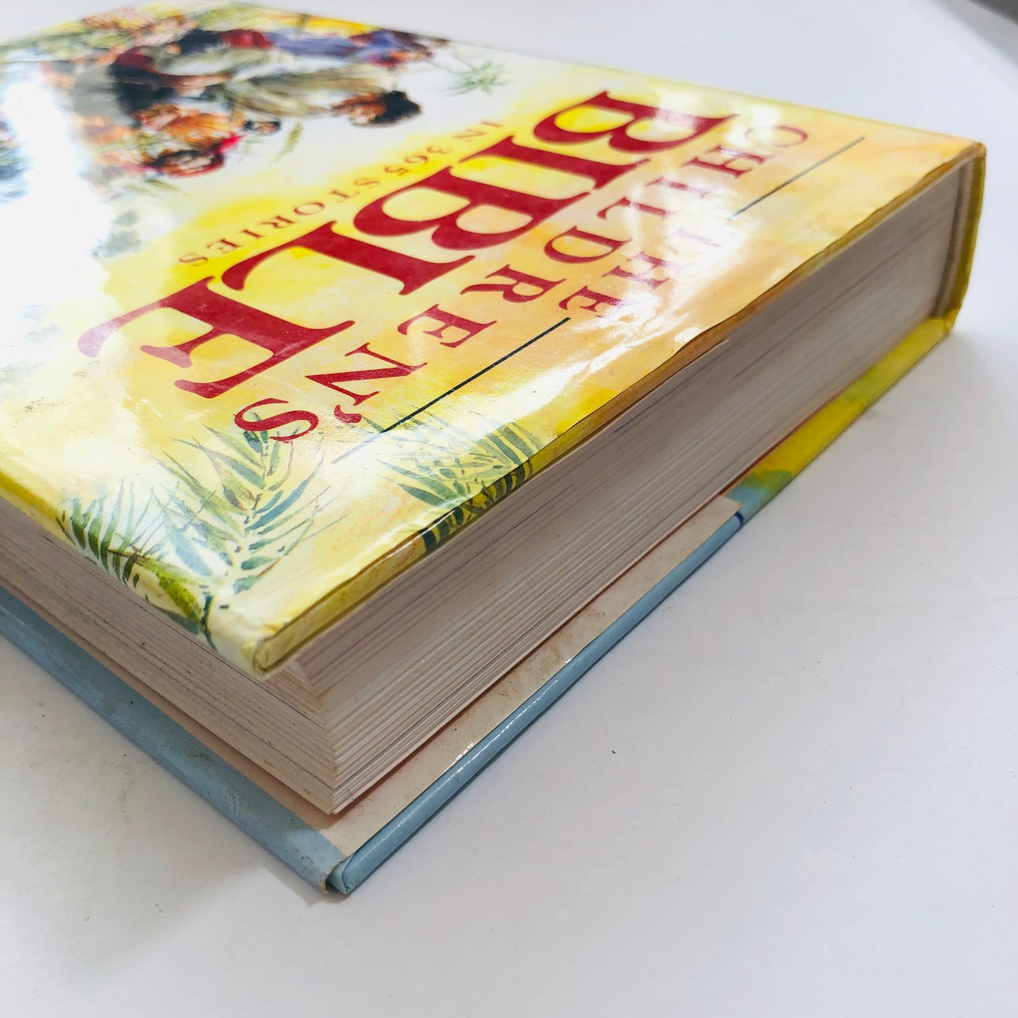 The Children's Bible in 365 Stories – A Year of Daily Bible Adventures!
