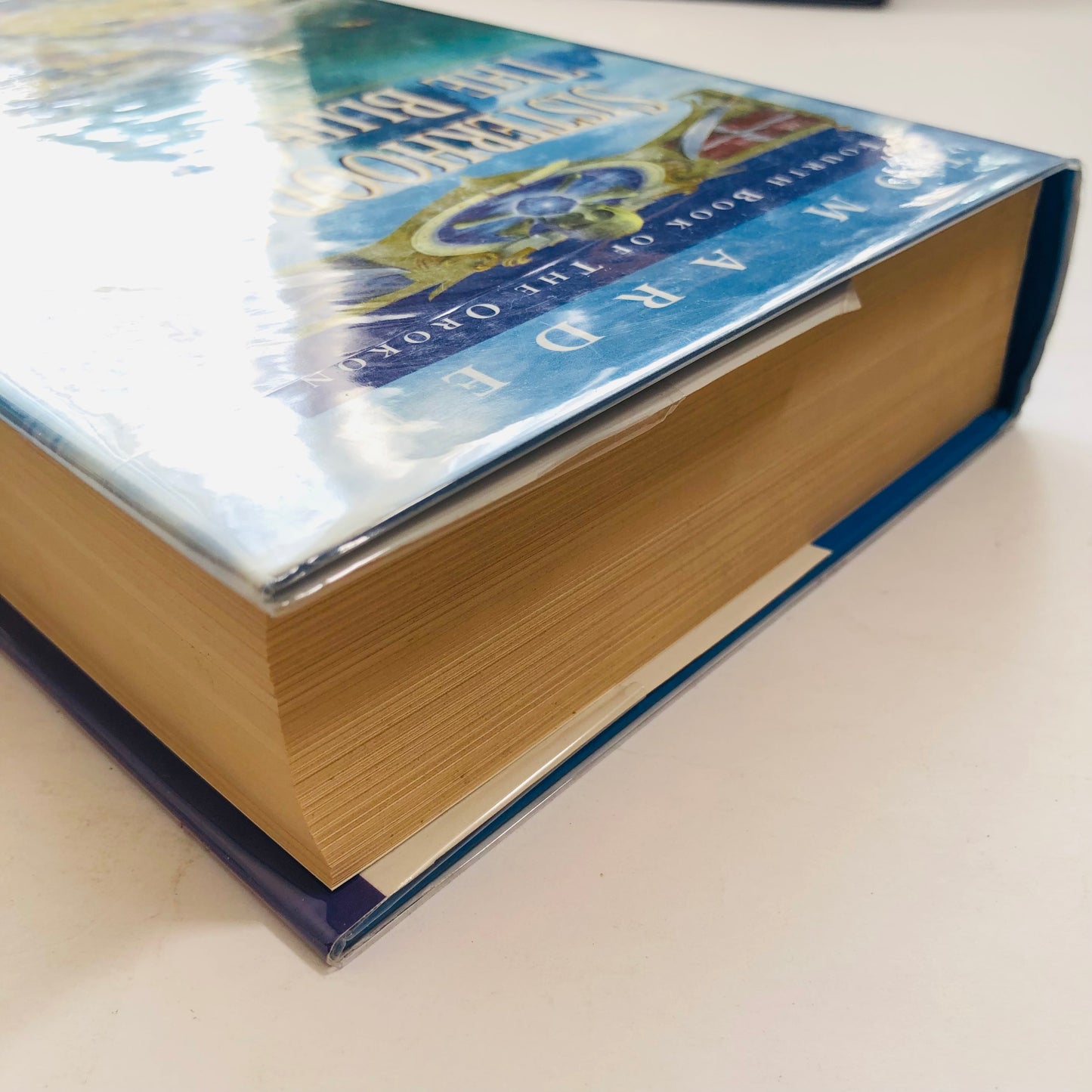 Sisterhood of the Blue Storm – Tom Arden