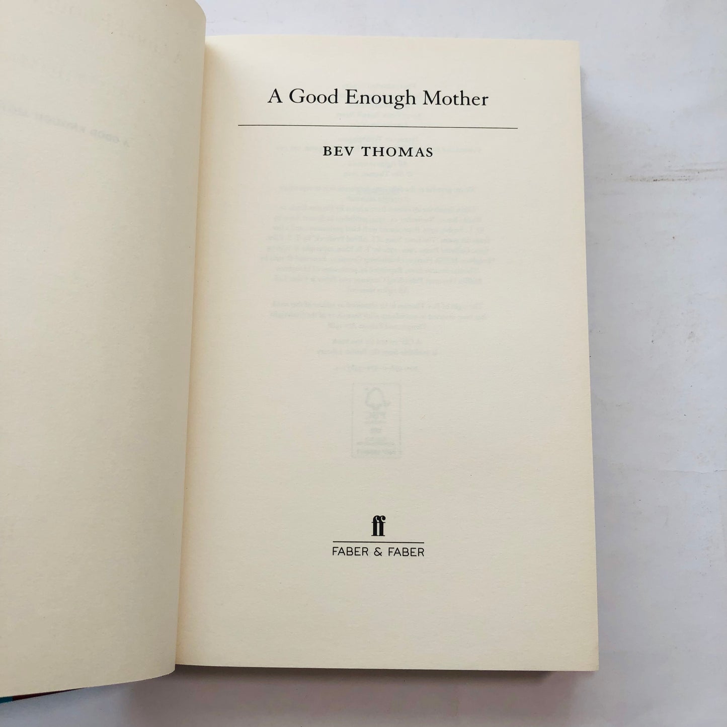 A Good Enough Mother – Bev Thomas