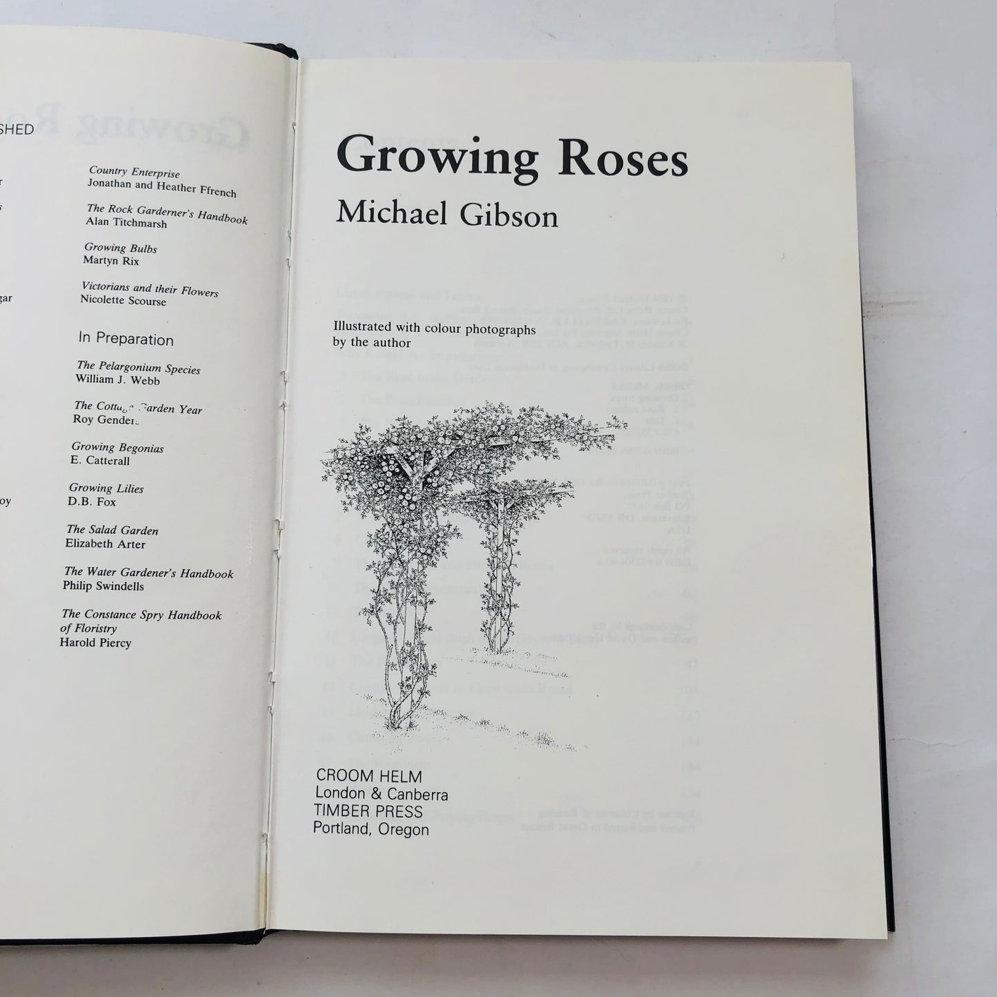 Growing Roses: Michael Gibson