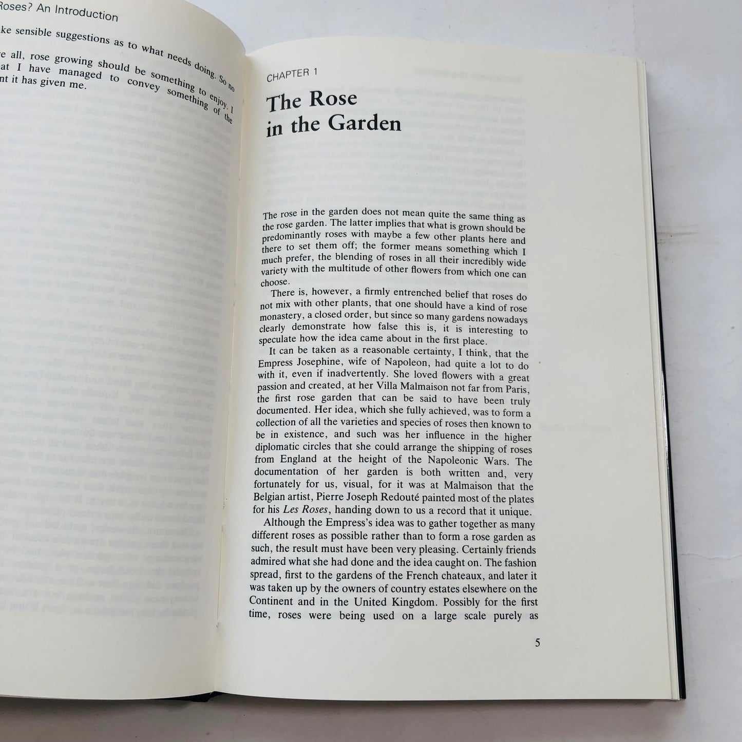 Growing Roses: Michael Gibson