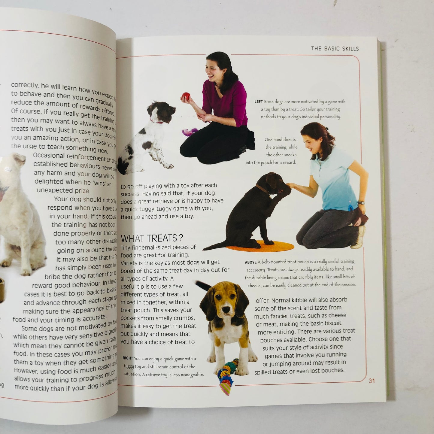 Brain Games for Dogs by Claire Arrowsmith | Dog Training Book | Canine Enrichment & Tricks | 9781842862773
