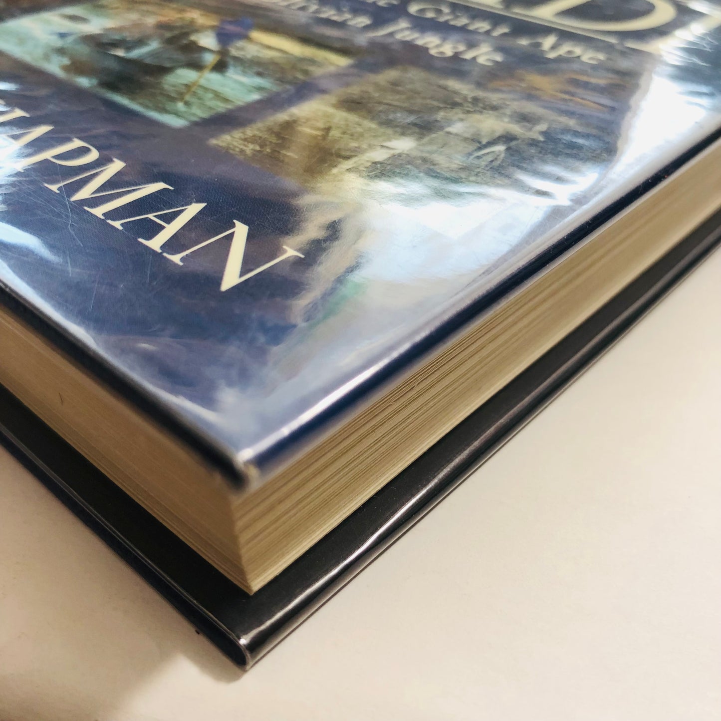 The Monster of the Madidi – Simon Chapman