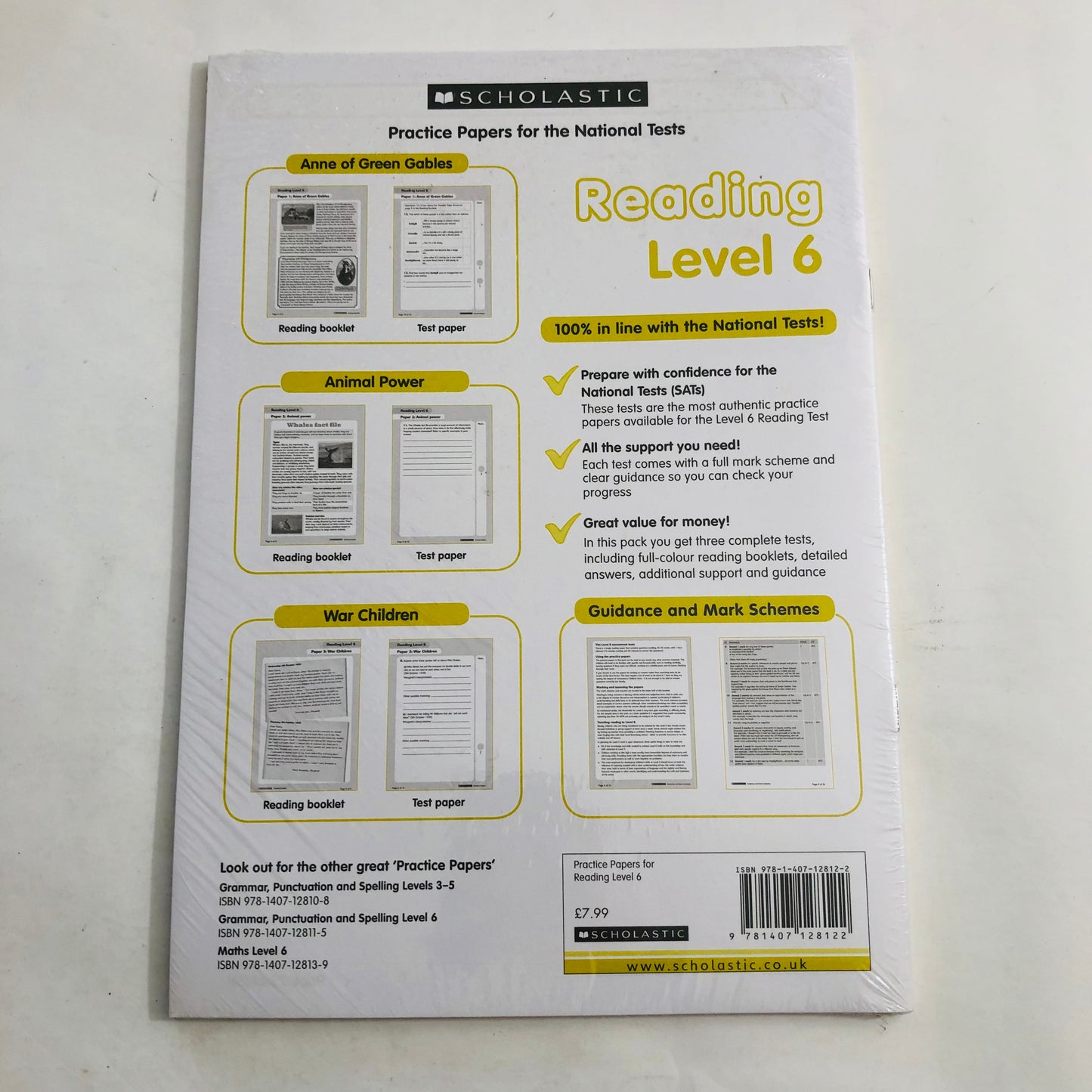 Reading Practice Papers (Level 6) – Ages 10-11