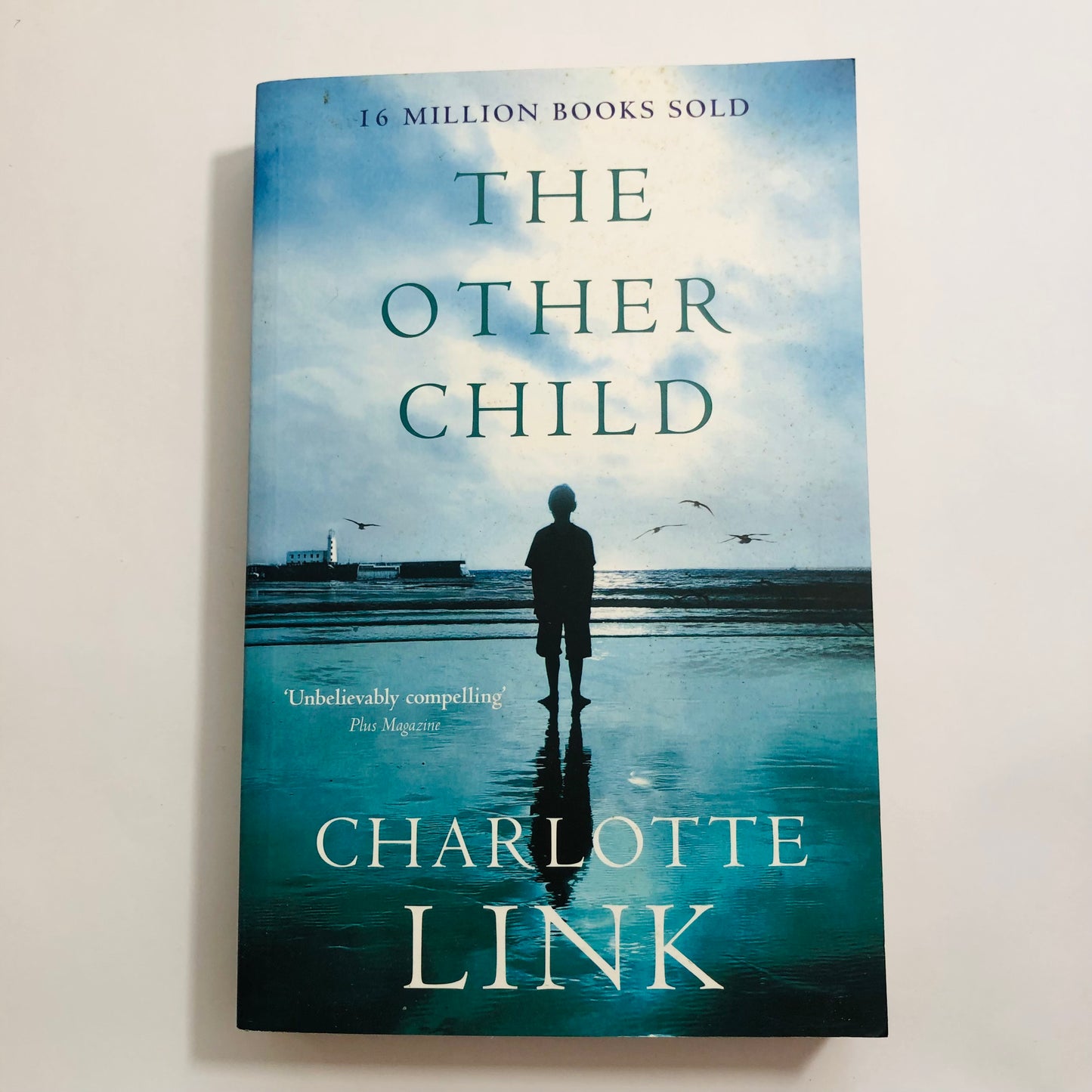The Other Child – Charlotte Link | New Paperback