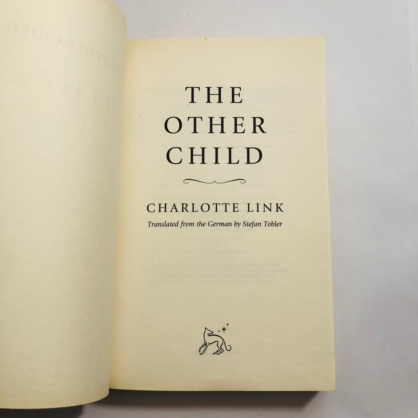 The Other Child – Charlotte Link | New Paperback