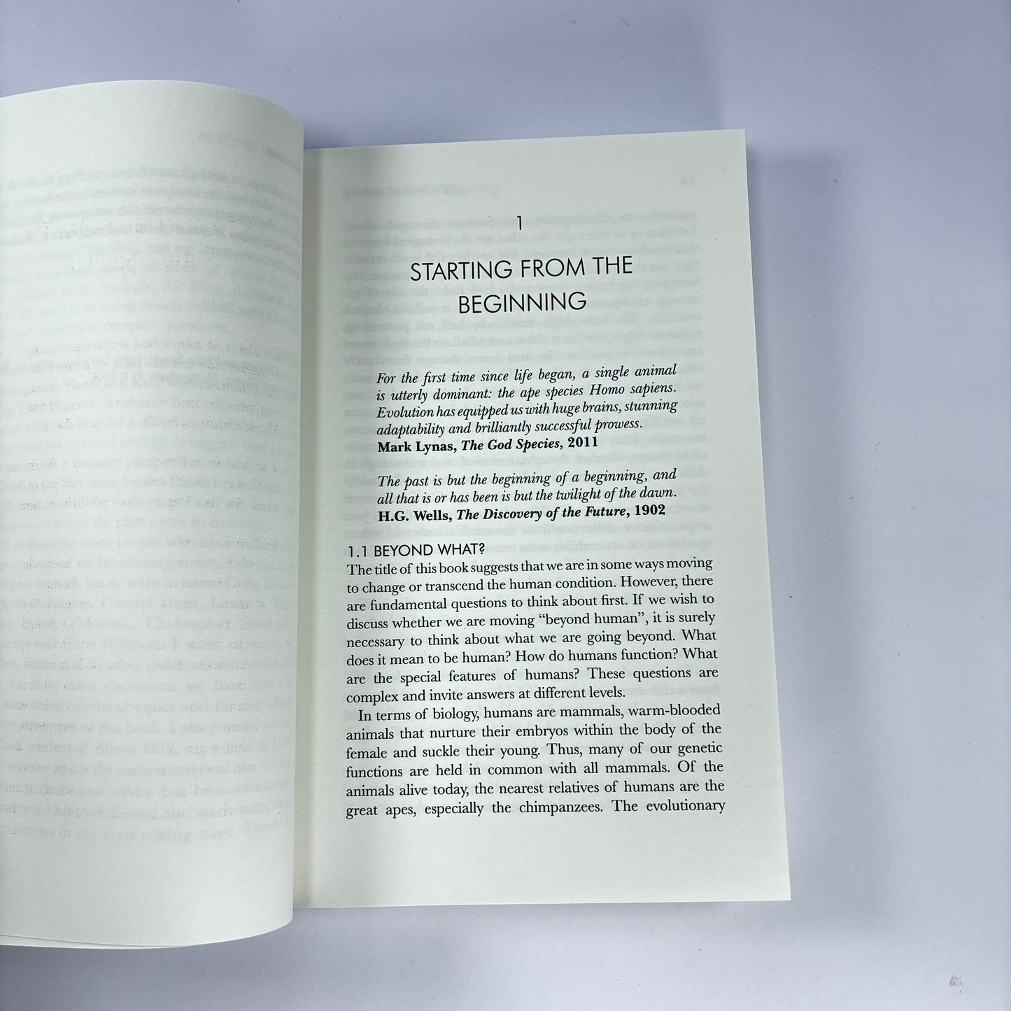 Beyond Human John Bryant | New Paperback