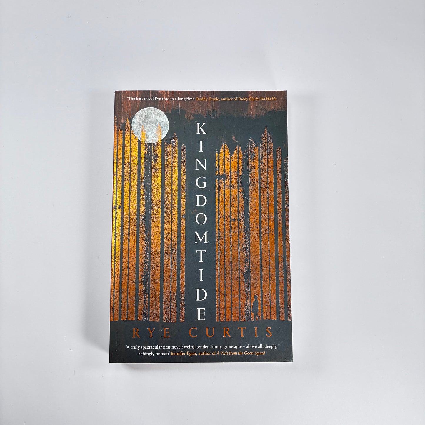 Kingdom Tide – Rye Curtis | New Paperback