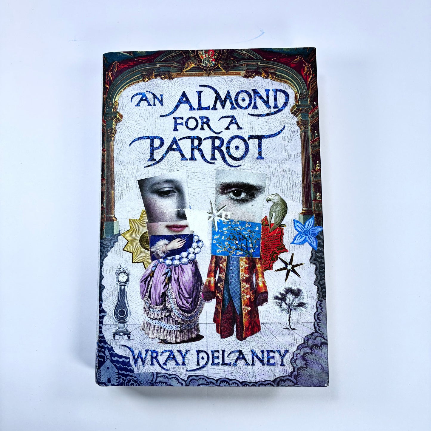 An Almond for a Parrot | Wray Delaney Hardback