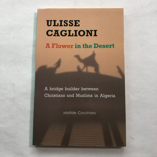 A Flower in the Desert - Ulisse Caglioni