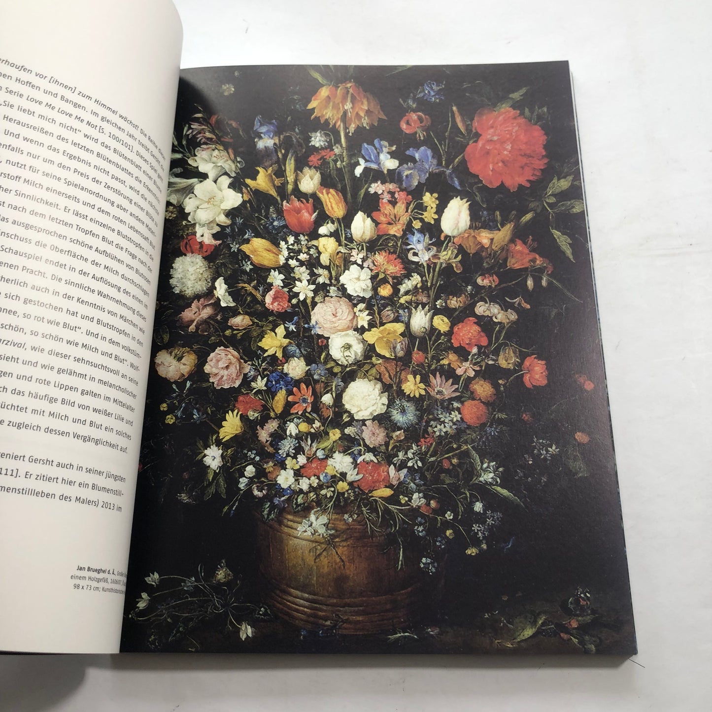 Ori Gersht: Forces of Nature – Hirmer