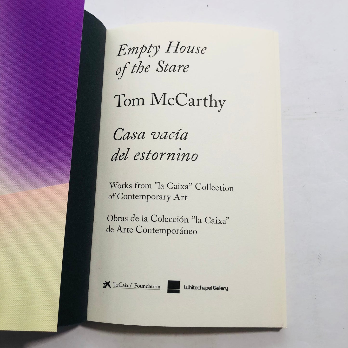 Empty House of the Stare – Tom McCarthy