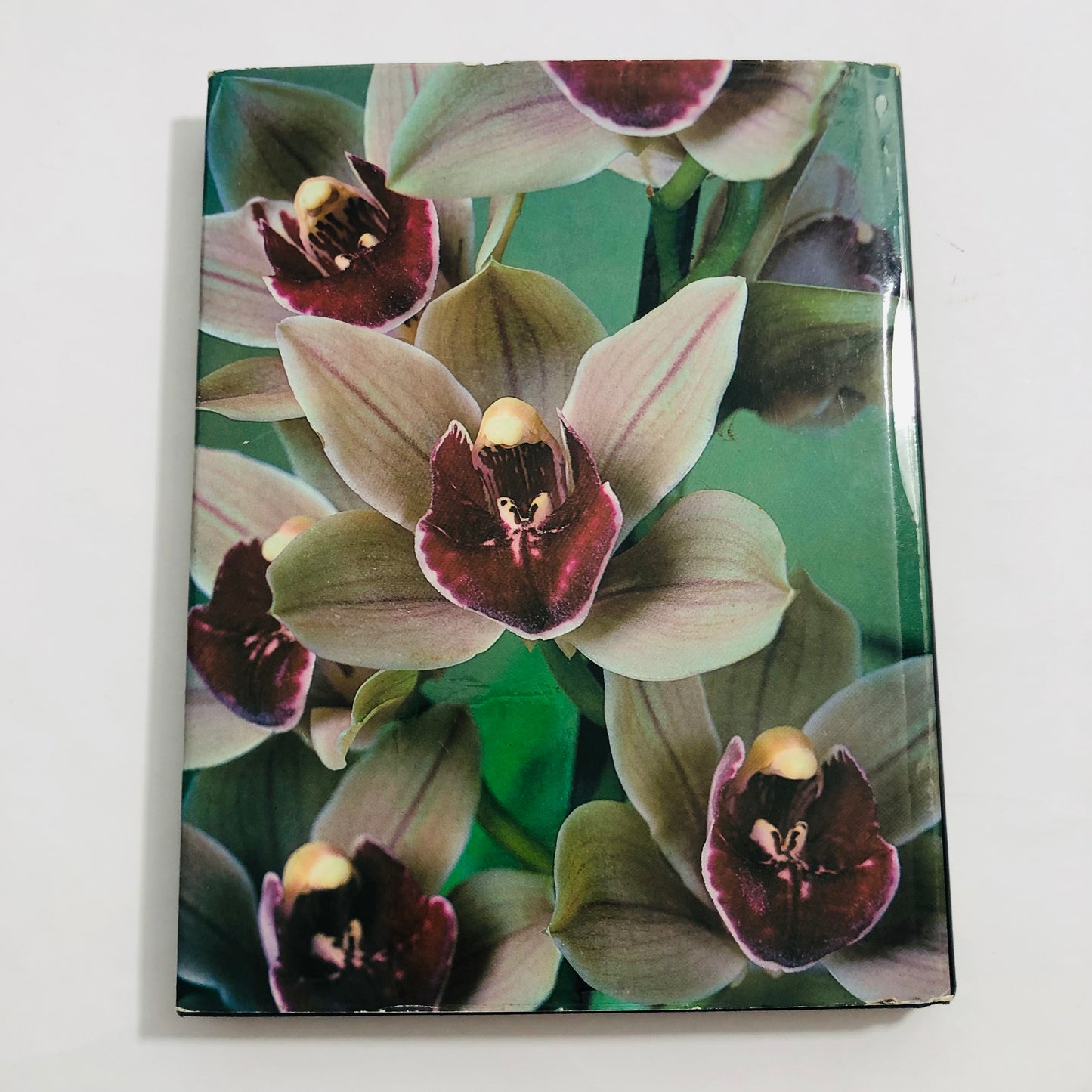 Orchids; In Colour by Brian and Wilma Rittershausen