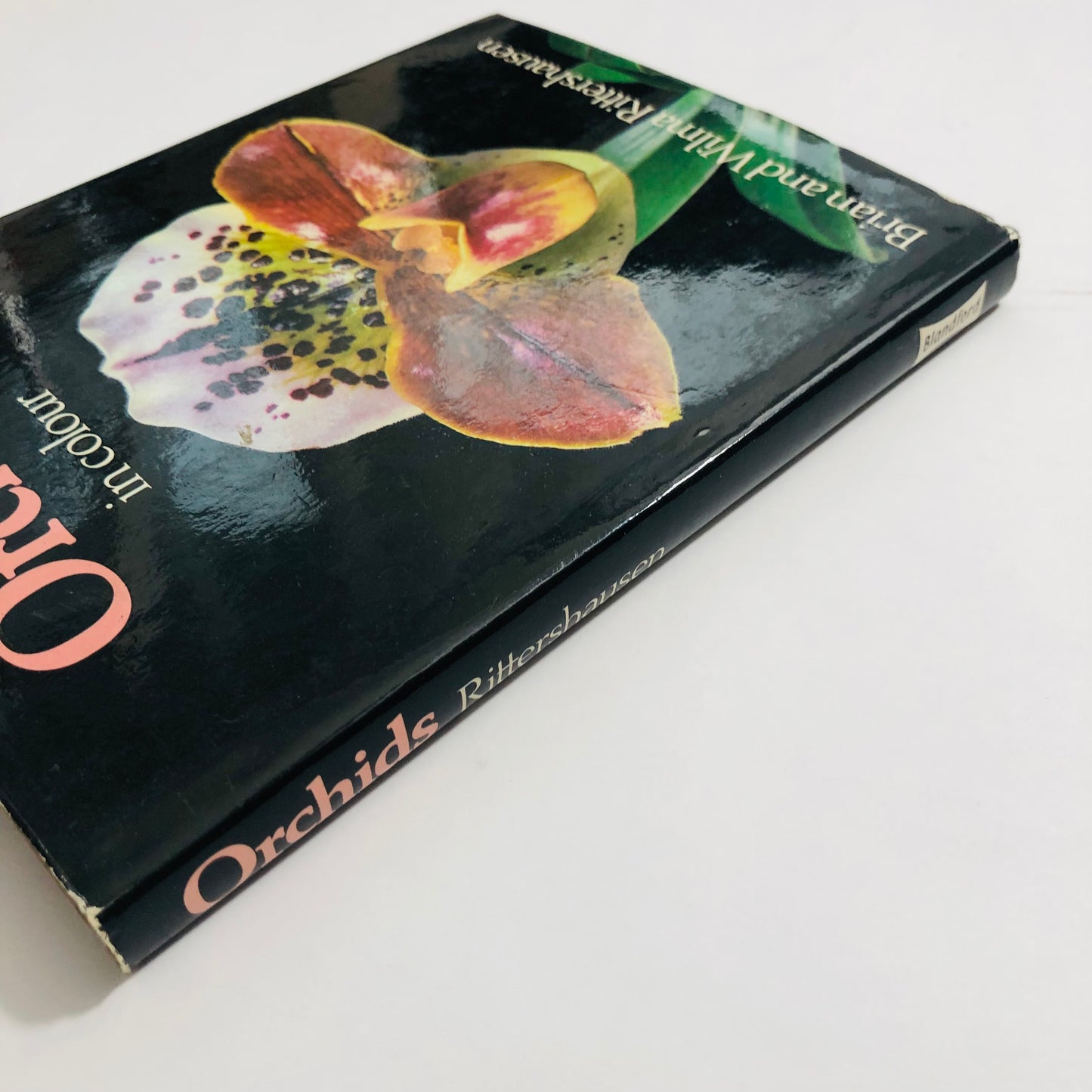 Orchids; In Colour by Brian and Wilma Rittershausen