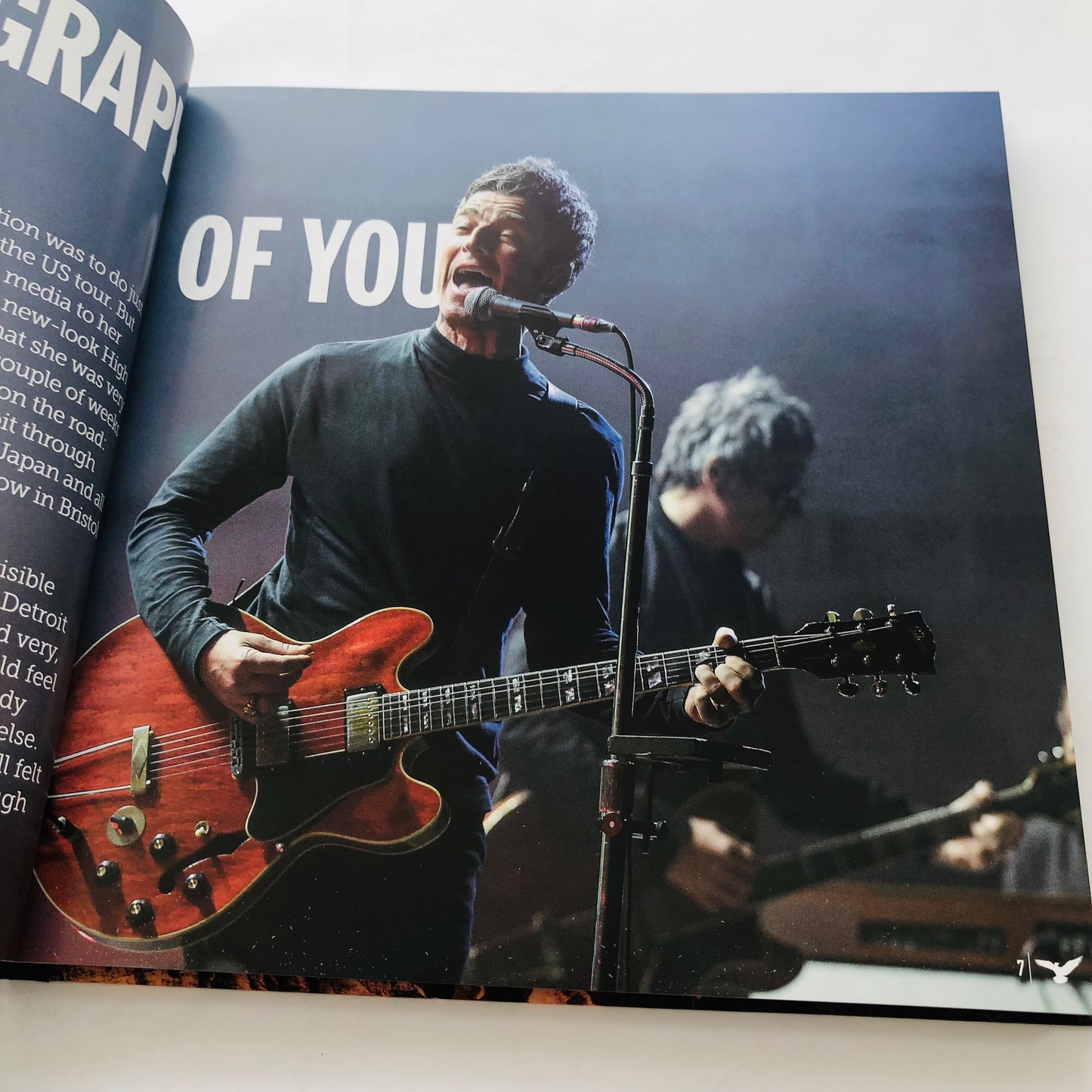 Noel Gallagher's High Flying Birds