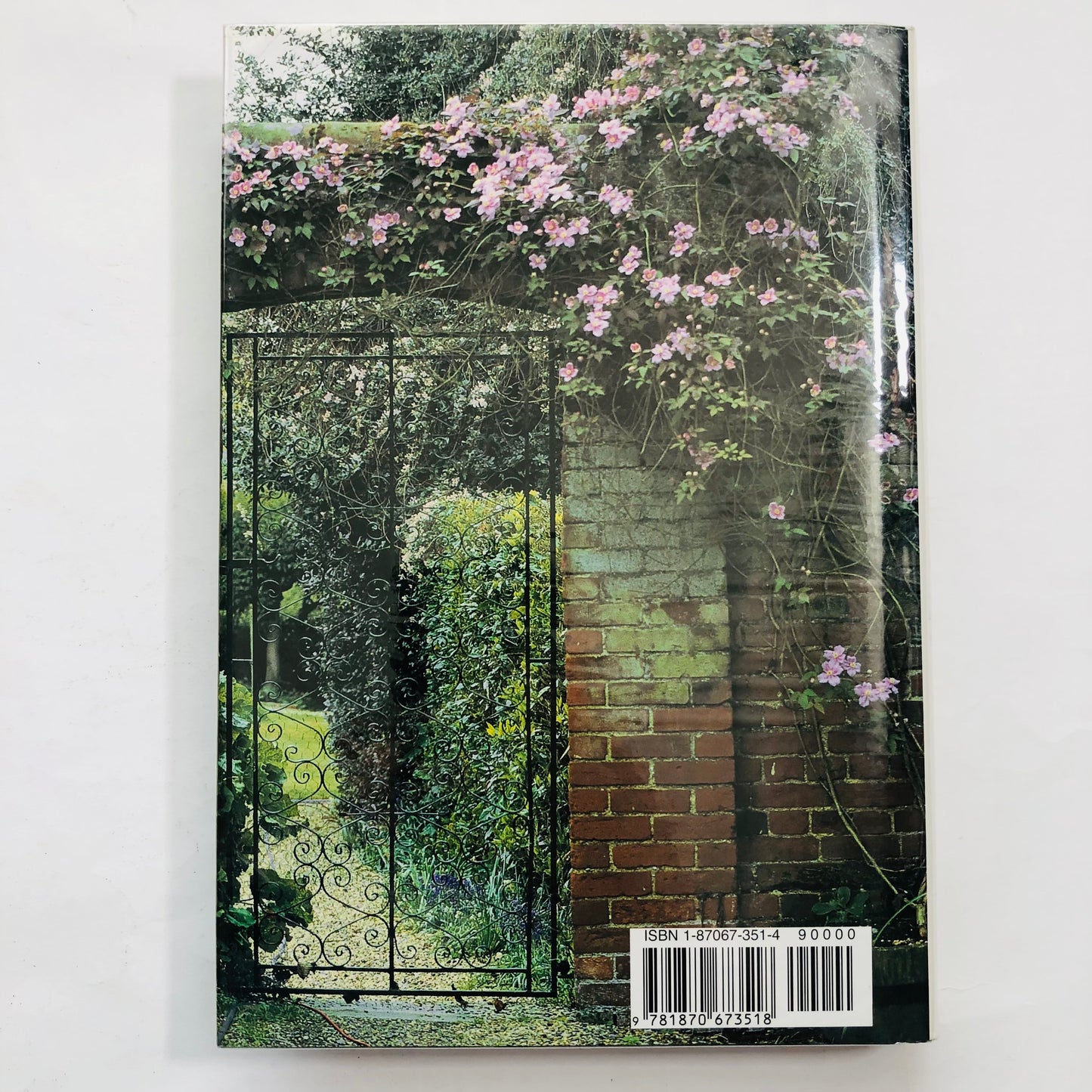 Clematis; The Montanas – John Howells