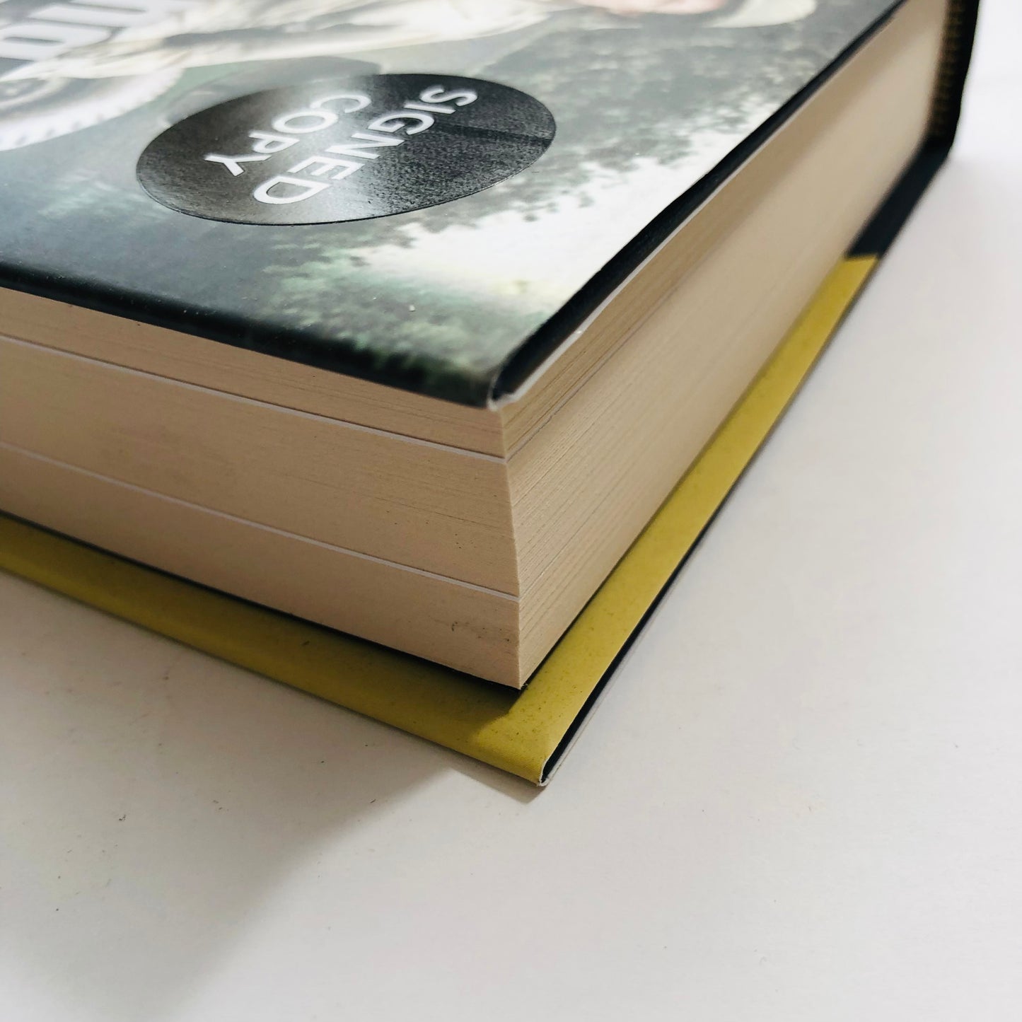 Going with the Boys: Six Extraordinary Women Writers in World War II – Judith Mackrell