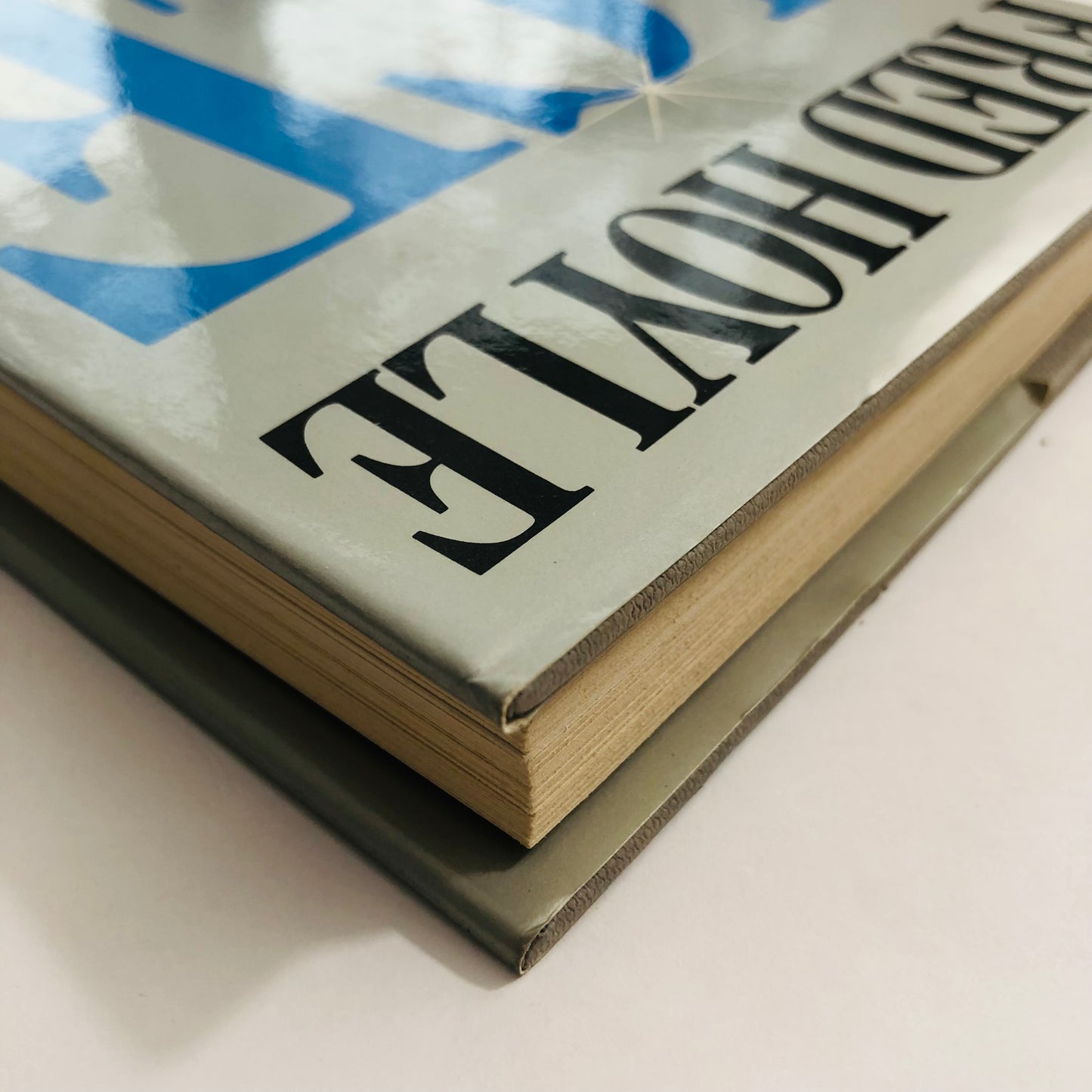 ICE – Fred Hoyle
