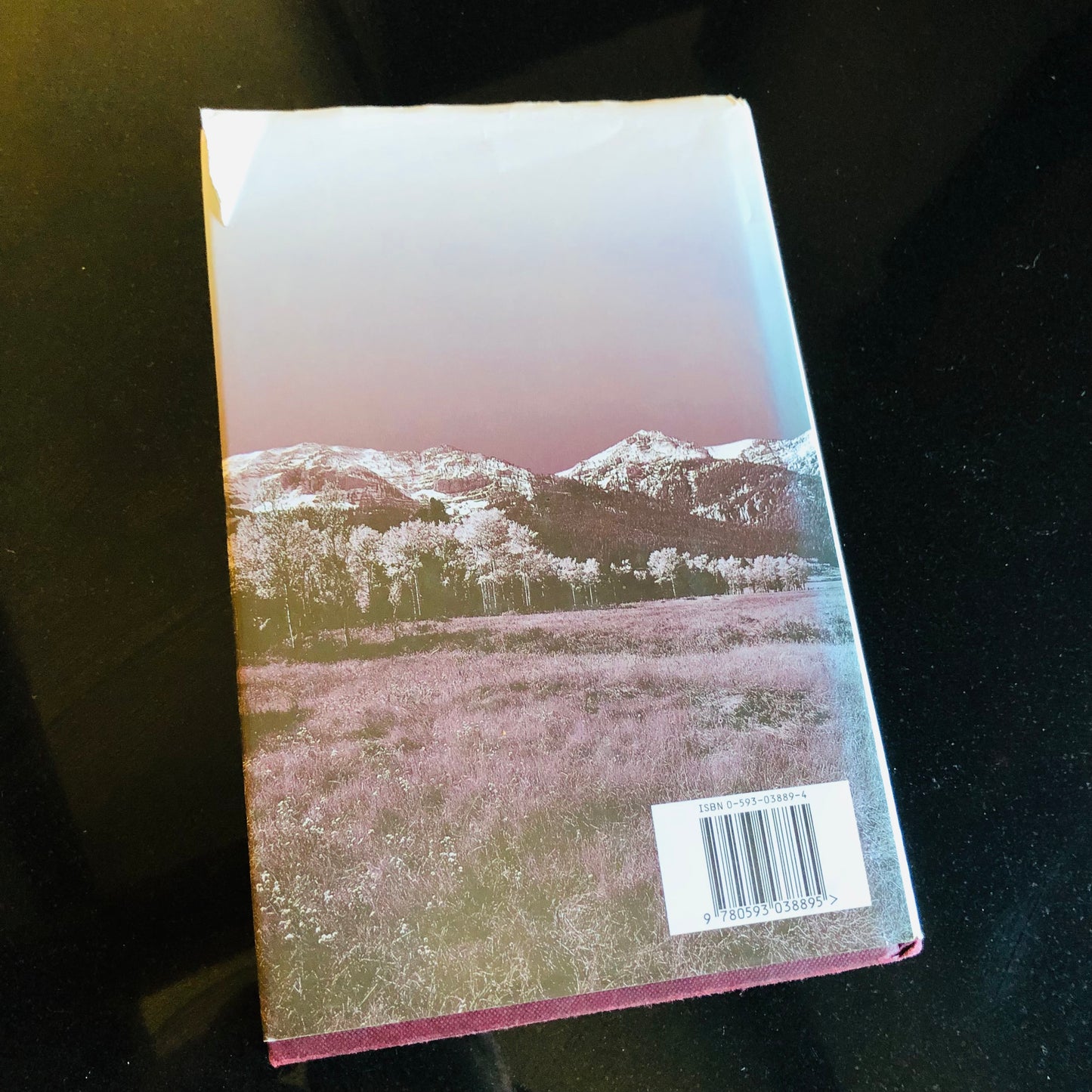 The Horse Whisperer – Nicholas Evans