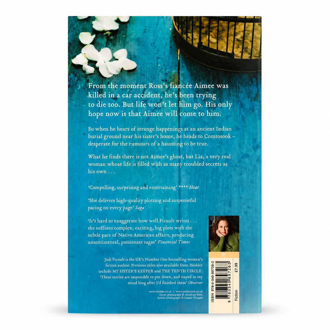Back cover of Second Glance by Jodi Picoult paperback book showing the story synopsis, review quotes and ISBN 9780340897263. Very good used condition. Available from BookBuddies.