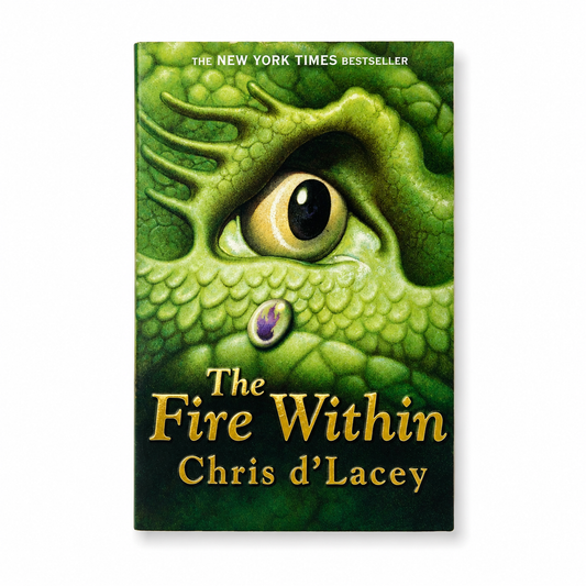 The Fire Within by Chris d'Lacey | Good Paperback