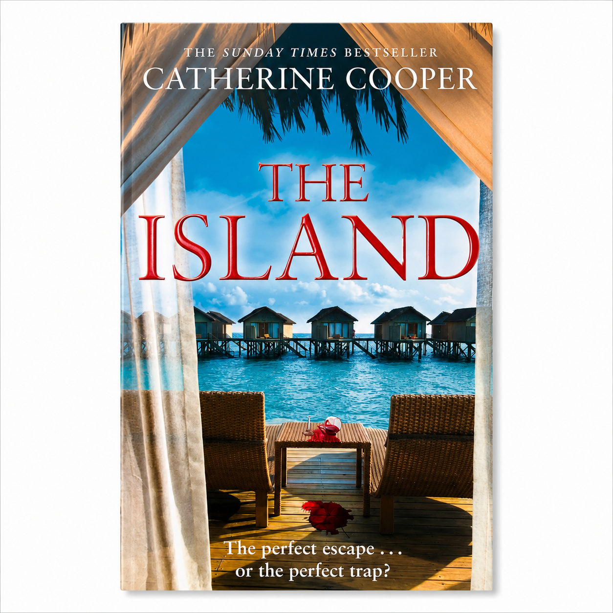 Front cover of The Island by Catherine Cooper paperback on a clean white background for the BookBuddies online bookshop.